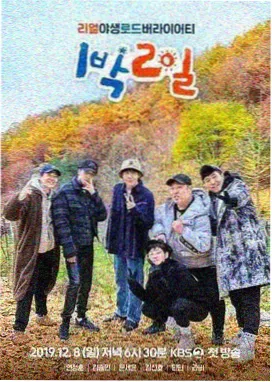 91在线观看真人秀综艺节目